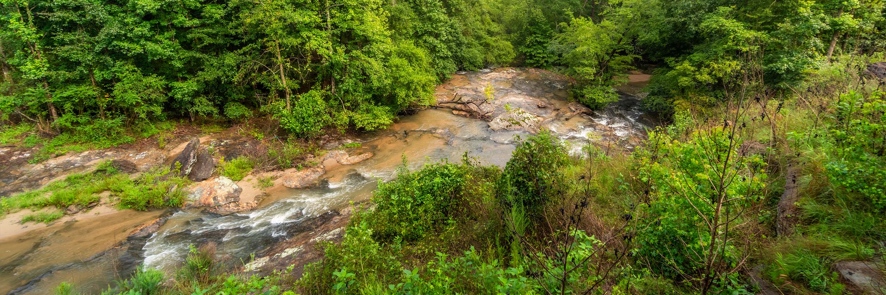 Lookout point at White's Mill Park, showing water stream and lots of green foliage