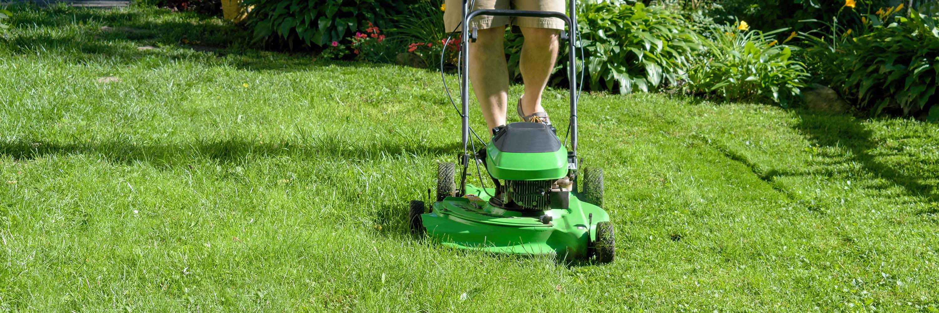 Lawn Cutting banner web